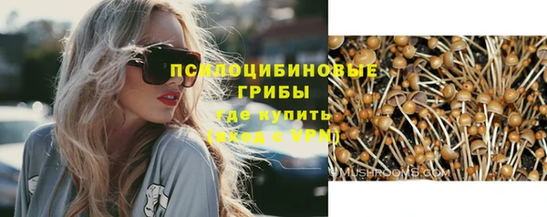 трава Армянск