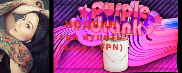 2c-b Снежногорск