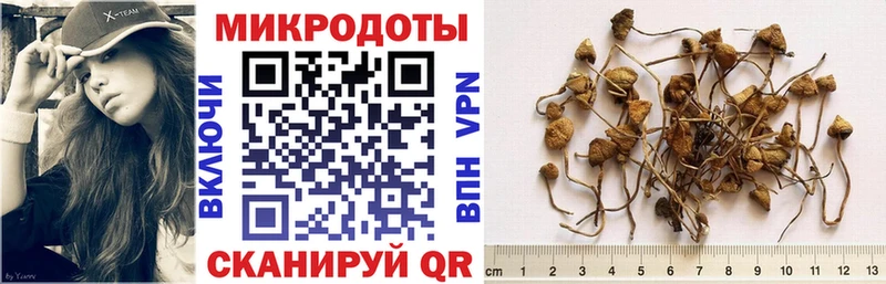 hydra как зайти  где продают наркотики  Калининск  Галлюциногенные грибы ЛСД 